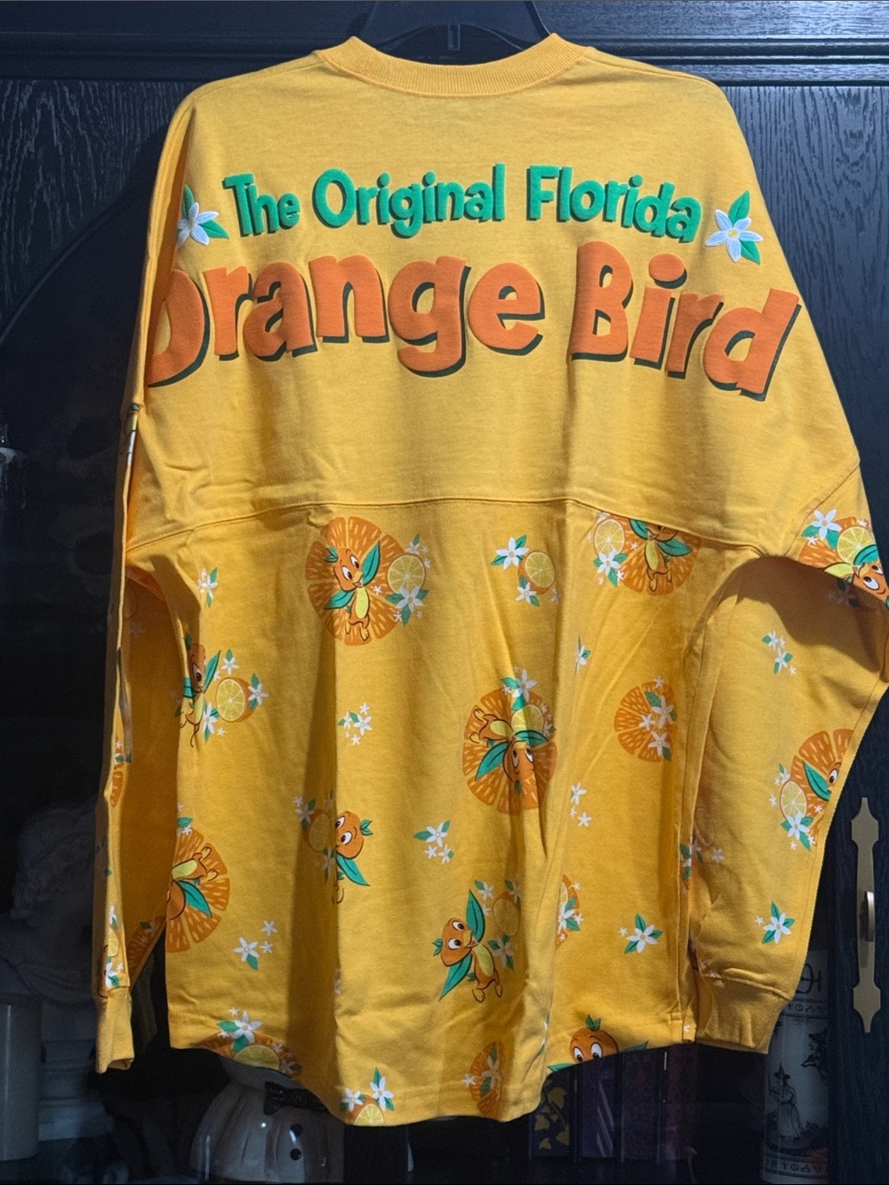 Florida Orange Bird Spirit Jersey